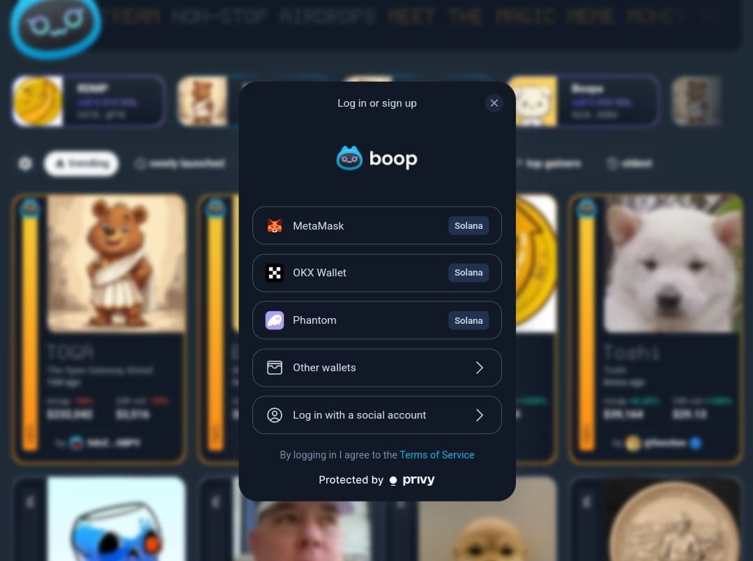 Boop.Fun Wallet Connection
