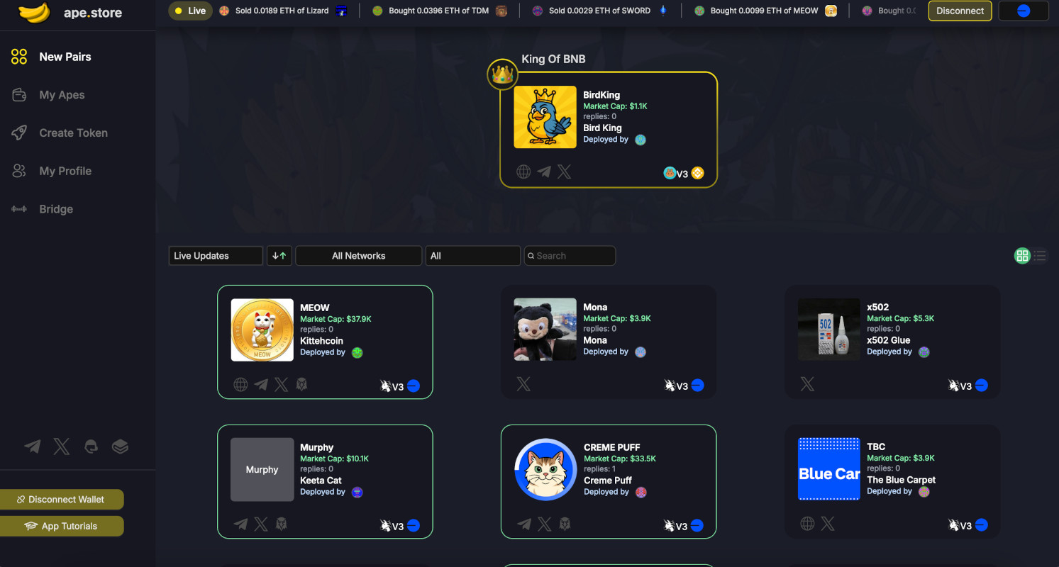 Detailed Step By Step Guide On How to Launch a Memecoin on Ape.Store